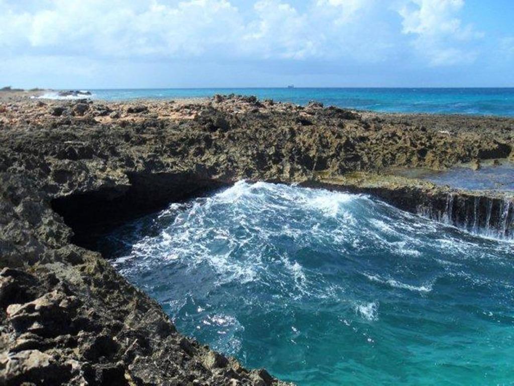 Aruba Cunucu Residence Palm Beach Dış mekan fotoğraf